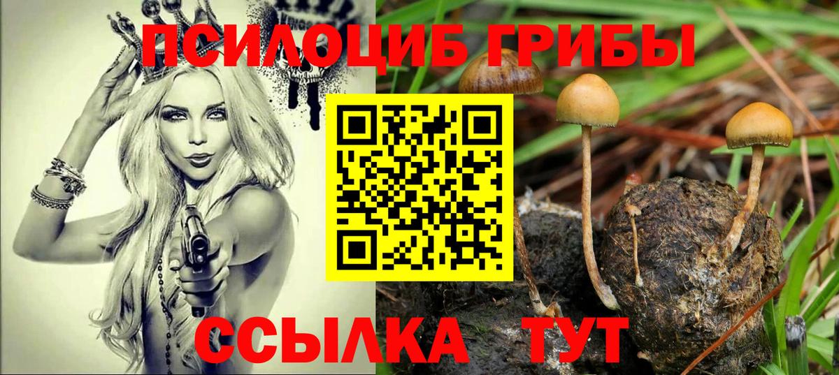 Галлюциногенные грибы Psilocybine cubensis  Вход с VPN  Галлюциногенные грибы ЛСД  Гатчина 