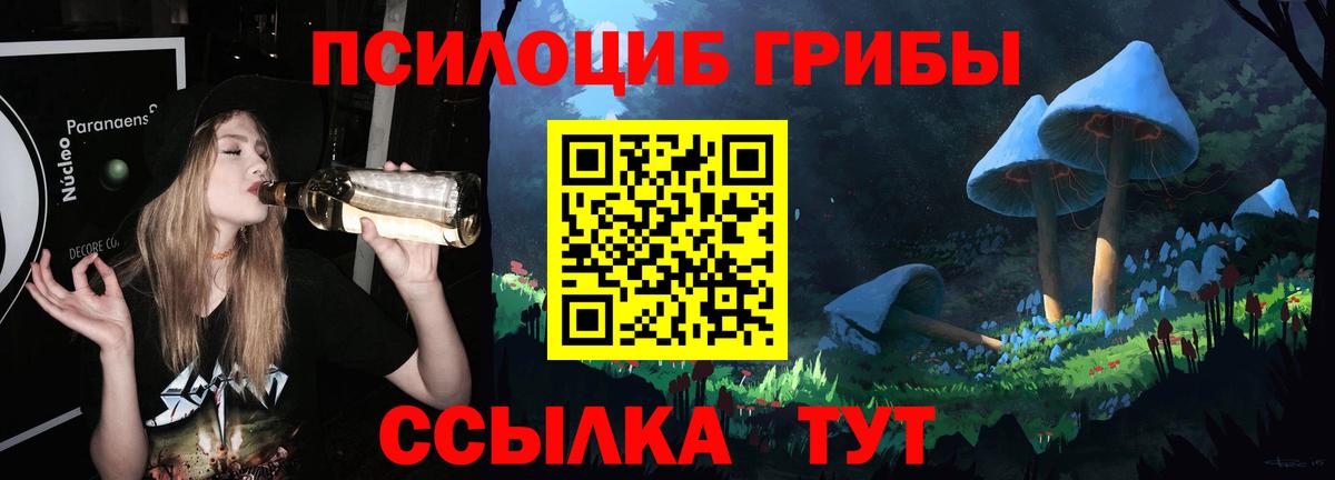Галлюциногенные грибы мицелий Гатчина